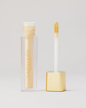 CAMERA FINISH CONCEALER FY4 open