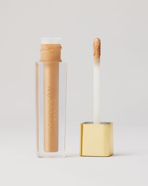 CAMERA FINISH CONCEALER LY13 open