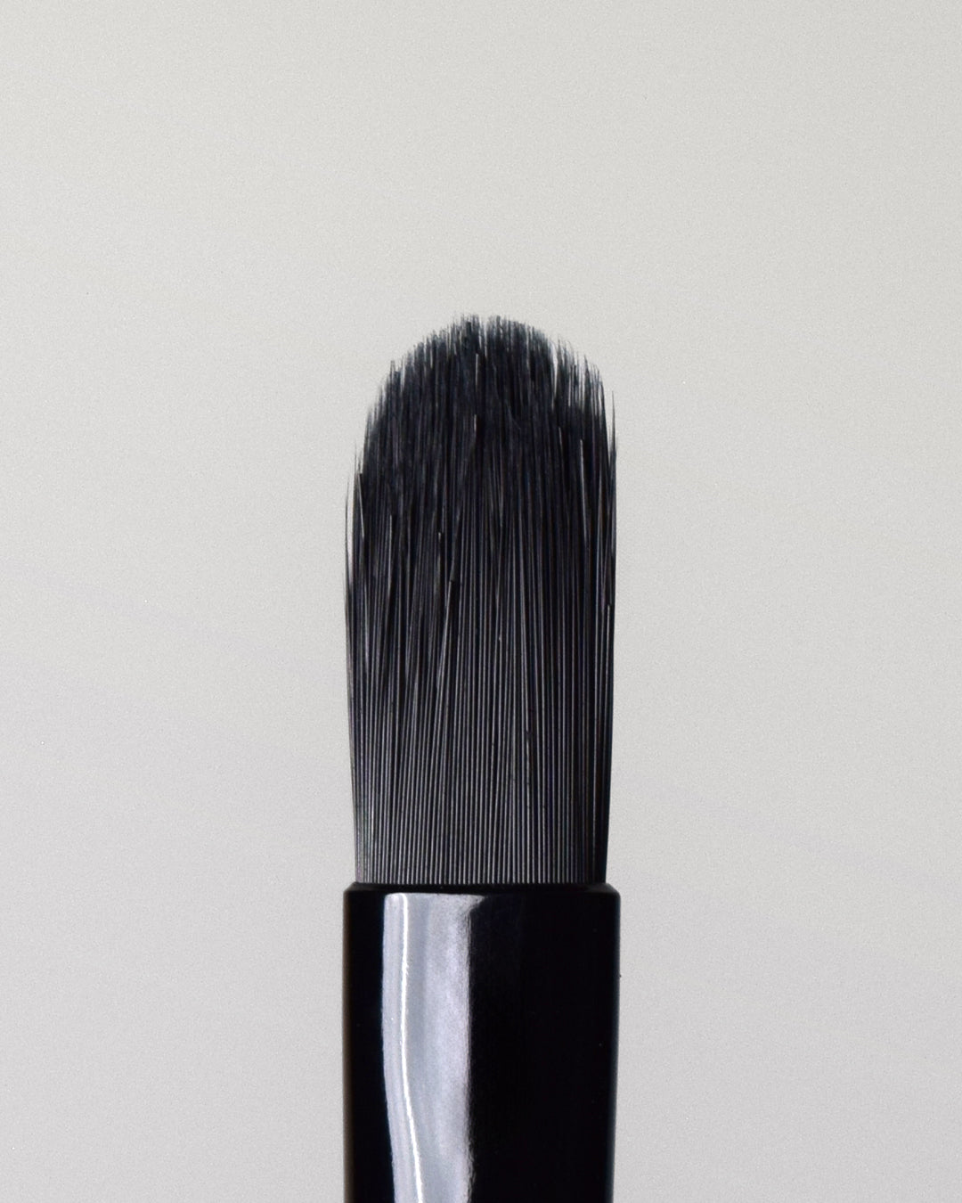 LIP BRUSH L1 closeup