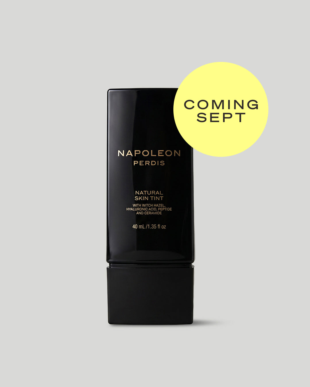 NATURAL SKIN TINT
