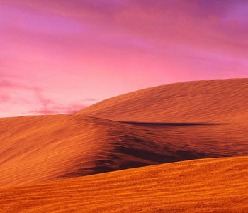 A Desert-Inspired Guide Featuring the Desert Bloom Palette