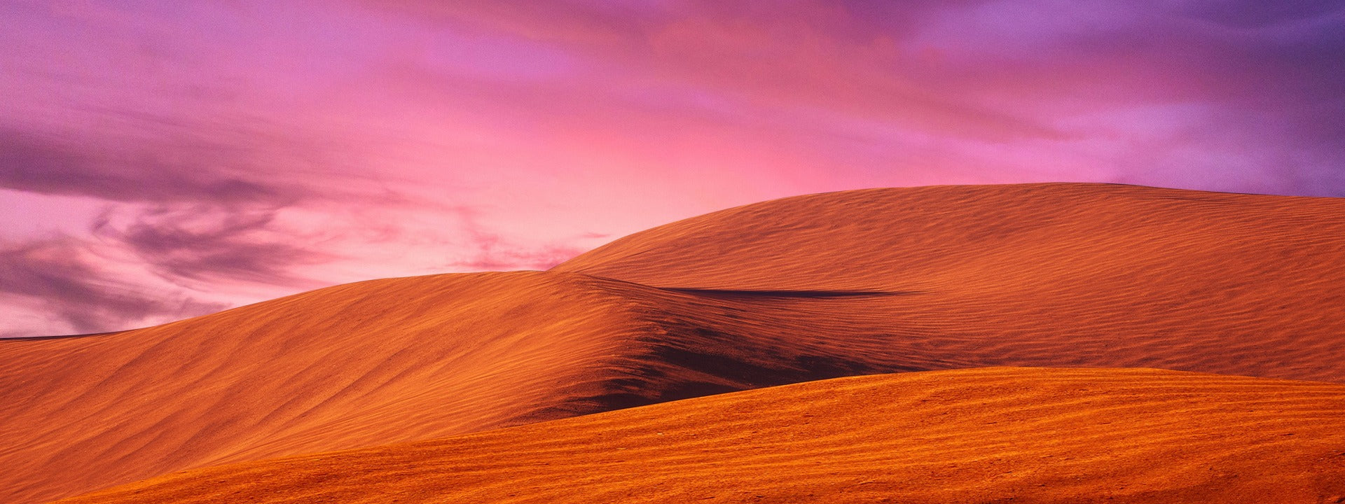 A Desert-Inspired Guide Featuring the Desert Bloom Palette