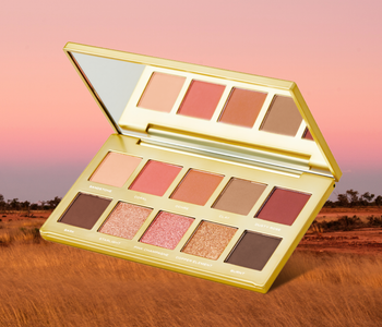 Best Eyeshadows and Palettes for Beginners
