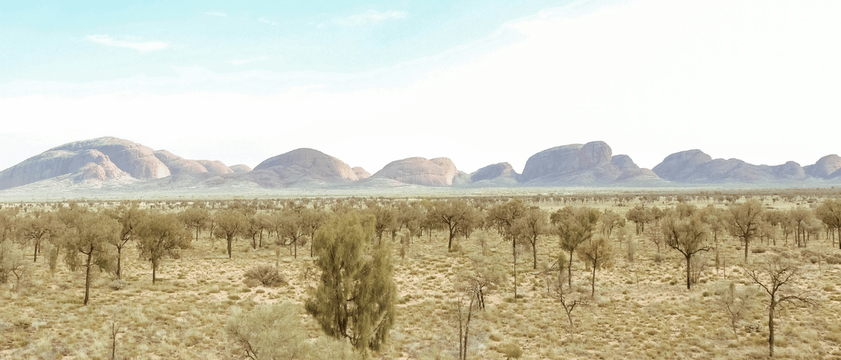 Why We Put a Higher SPF in Your Foundation, and Why It Matters if You Live in Australia