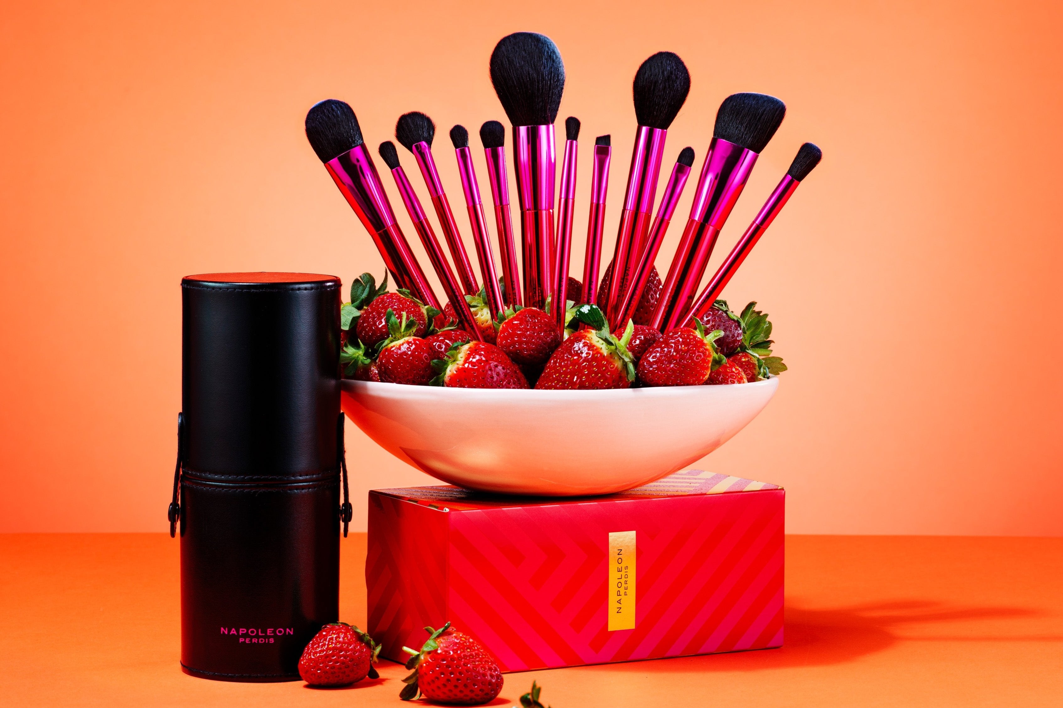 BRUSH LUST 12-PIECE SET ($495 VALUE)