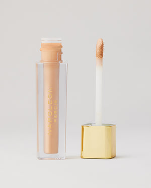 CAMERA FINISH CONCEALER FPC3 open