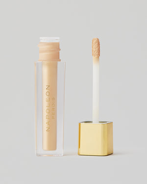CAMERA FINISH CONCEALER FY7 open