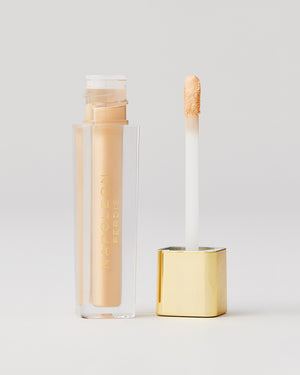 CAMERA FINISH CONCEALER LN8 open
