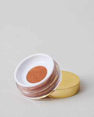 CAMERA FINISH LOOSE POWDER CHESTNUT open