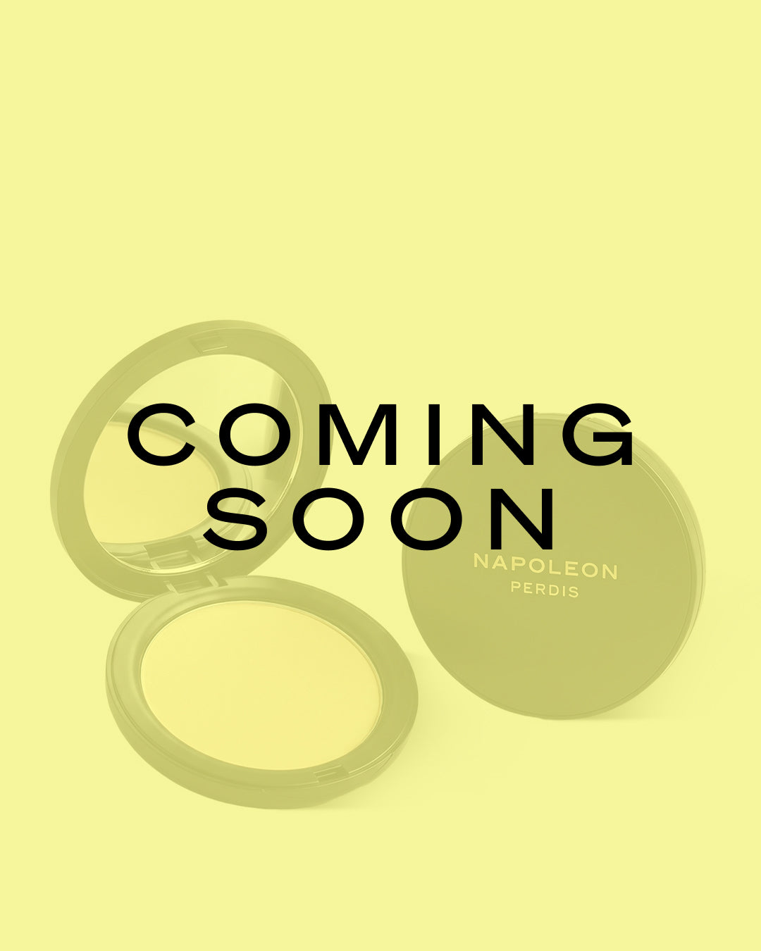 CAMERA FINISH POWDER FOUNDATION SPF30