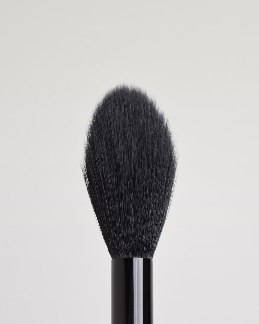 POWDER BRUSH PD1  closeup