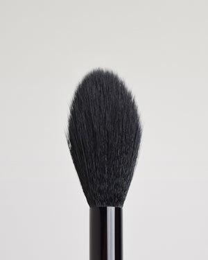POWDER BRUSH PD1  closeup