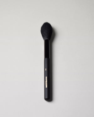 POWDER BRUSH PD1  full