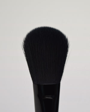 POWDER BRUSH PD2  closeup