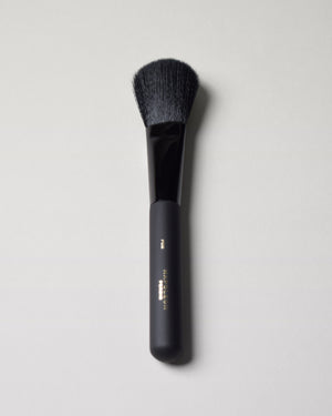 POWDER BRUSH PD2  full
