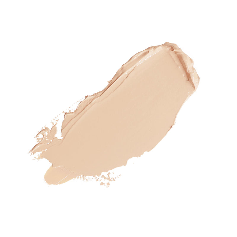 The One Concealer