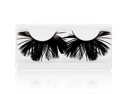 Lashes Begonia-